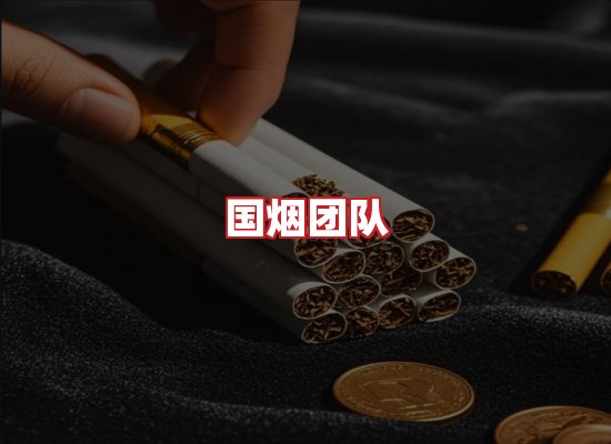 国烟团队